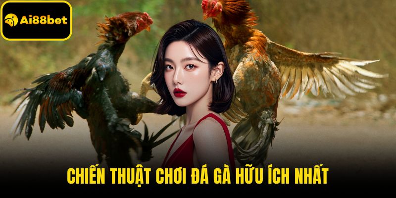Chiến thuật chơi đá gà hữu ích nhất