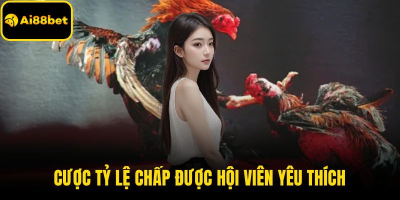 Cược tỷ lệ chấp được hội viên yêu thích