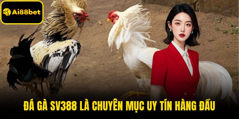 Đá gà SV388 là chuyên mục uy tín hàng đầu