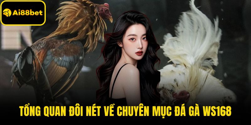 Tổng quan đôi nét về chuyên mục đá gà WS168