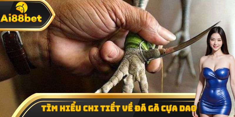 Tìm hiểu chi tiết về đá gà cựa dao tại các trường đấu nổi tiếng