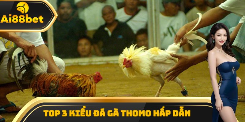 Top 3 kiểu đá gà Thomo hấp dẫn nhất thu hút đông người xem