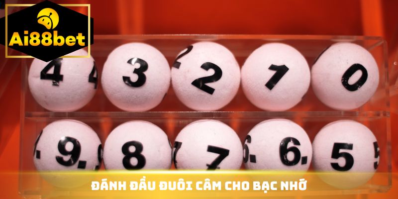 Đánh đầu đuôi câm cho bạc nhớ